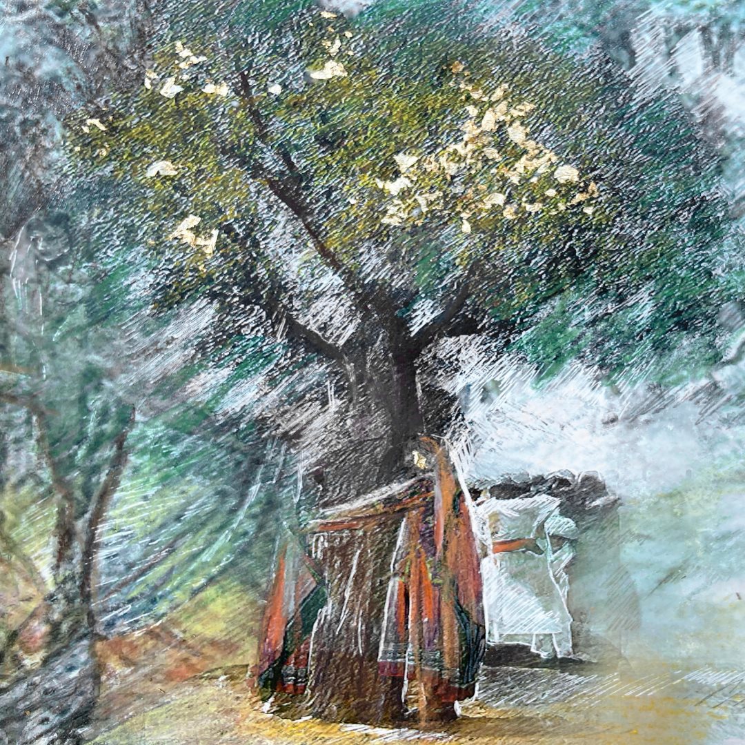 The Tree Hugger, a Red Curtain Project story